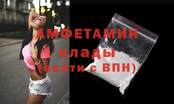индика Вязники