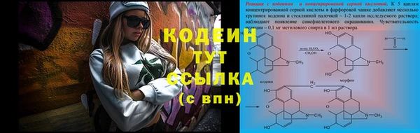 индика Вязники