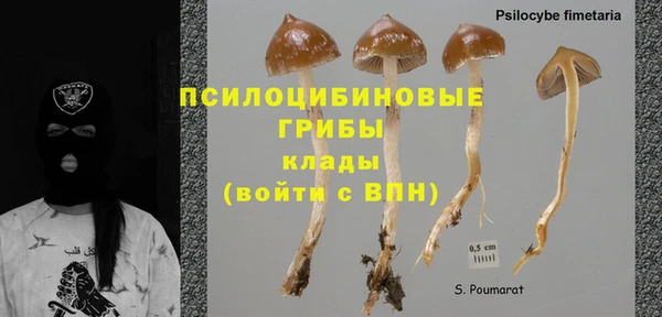 apvp Вязьма