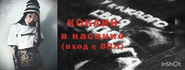 индика Вязники