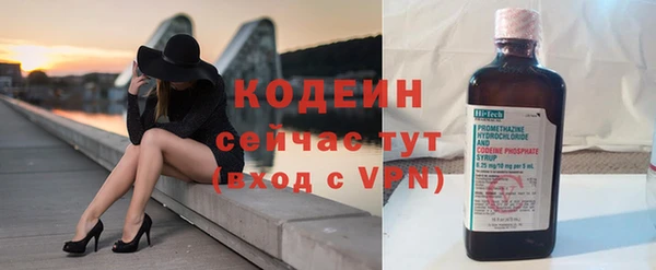 индика Вязники