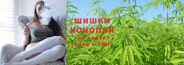 apvp Вязьма