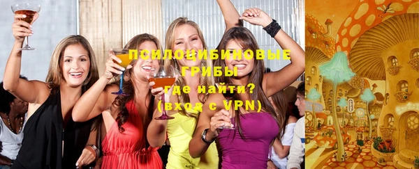 индика Вязники