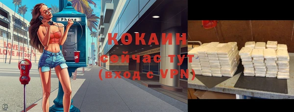 меф Вяземский
