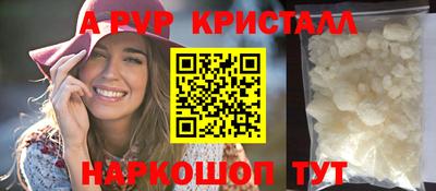 хмурый Кингисепп