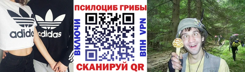 Псилоцибиновые грибы GOLDEN TEACHER  блэк спрут онион  Можайск 