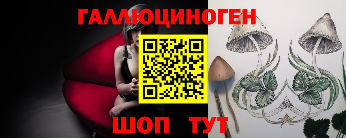 Галлюциногенные грибы Psilocybine cubensis Можайск